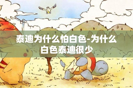 泰迪為什么怕白色-為什么白色泰迪很少