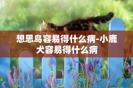 想思鳥容易得什么病-小鹿犬容易得什么病