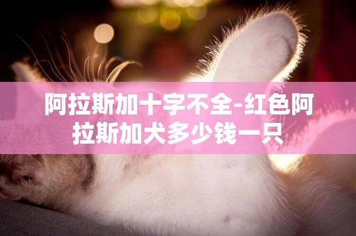 阿拉斯加十字不全-紅色阿拉斯加犬多少錢一只