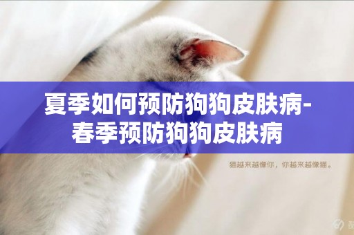 夏季如何預防狗狗皮膚病-春季預防狗狗皮膚病