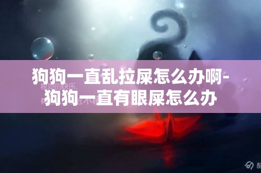 狗狗一直亂拉屎怎么辦啊-狗狗一直有眼屎怎么辦