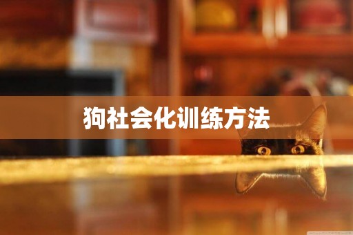 狗社會化訓練方法