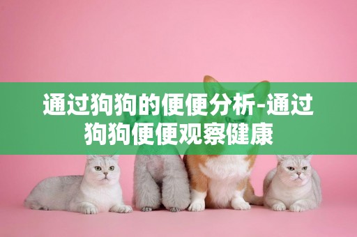 通過狗狗的便便分析-通過狗狗便便觀察健康