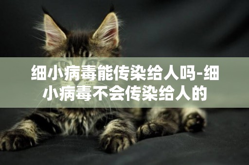 細小病毒能傳染給人嗎-細小病毒不會傳染給人的