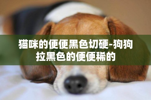 貓咪的便便黑色切硬-狗狗拉黑色的便便稀的