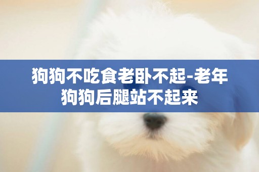 狗狗不吃食老臥不起-老年狗狗后腿站不起來