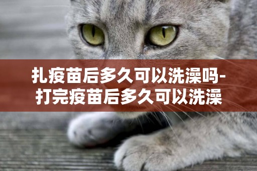 扎疫苗后多久可以洗澡嗎-打完疫苗后多久可以洗澡