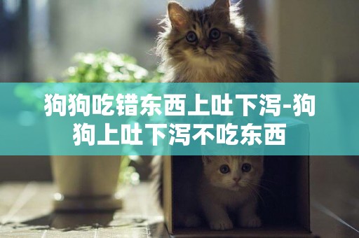 狗狗吃錯東西上吐下瀉-狗狗上吐下瀉不吃東西