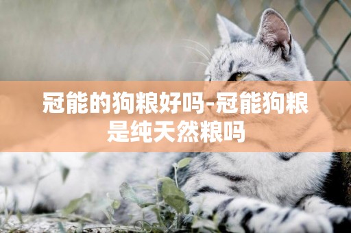 冠能的狗糧好嗎-冠能狗糧是純天然糧嗎