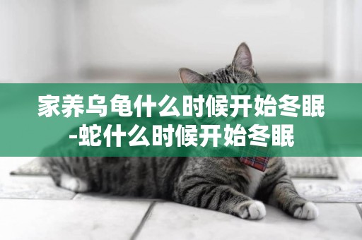 家養烏龜什么時候開始冬眠-蛇什么時候開始冬眠
