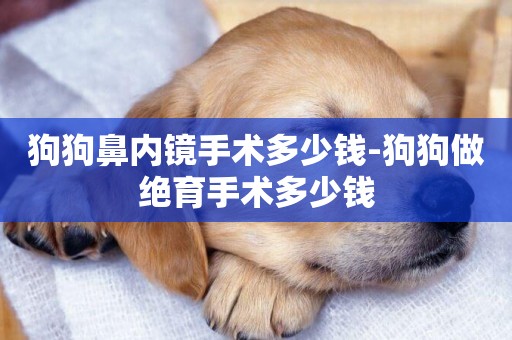 狗狗鼻內鏡手術多少錢-狗狗做絕育手術多少錢