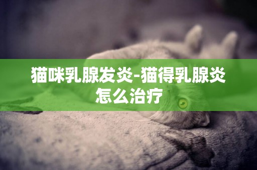 貓咪乳腺發炎-貓得乳腺炎怎么治療