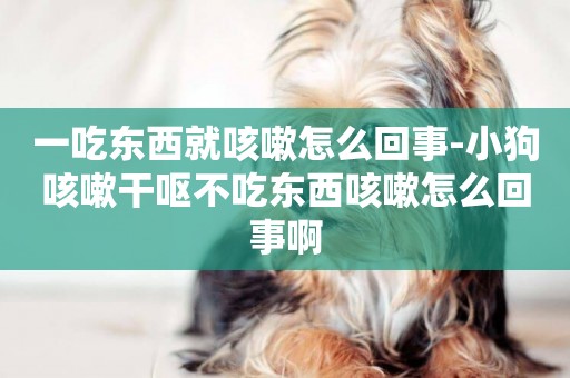 一吃東西就咳嗽怎么回事-小狗咳嗽干嘔不吃東西咳嗽怎么回事啊