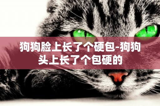 狗狗臉上長了個硬包-狗狗頭上長了個包硬的