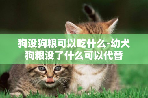 狗沒狗糧可以吃什么-幼犬狗糧沒了什么可以代替