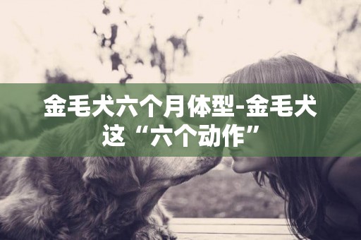 金毛犬六個月體型-金毛犬這“六個動作”