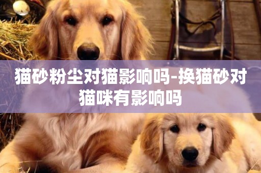 貓砂粉塵對貓影響嗎-換貓砂對貓咪有影響嗎