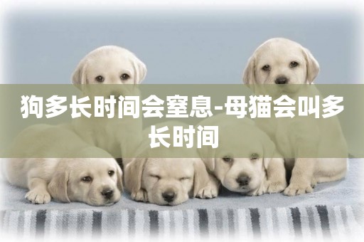 狗多長時間會窒息-母貓會叫多長時間