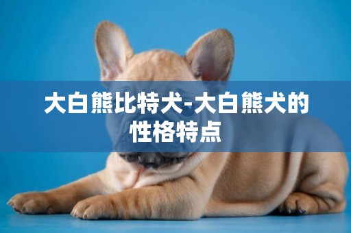 大白熊比特犬-大白熊犬的性格特點