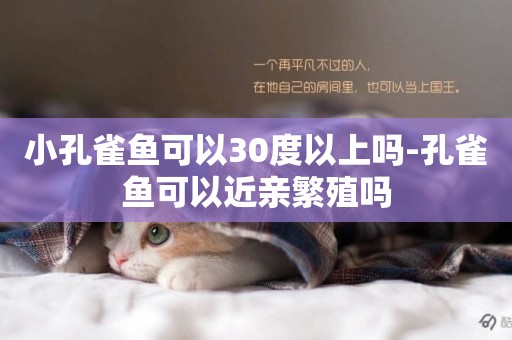 小孔雀魚可以30度以上嗎-孔雀魚可以近親繁殖嗎