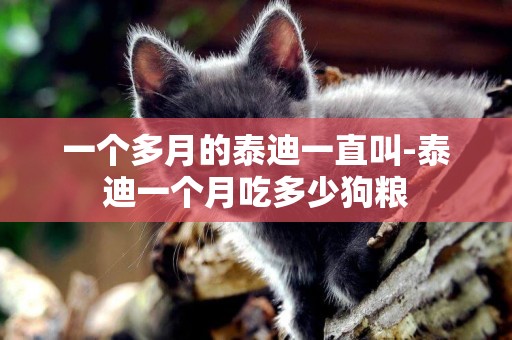 一個多月的泰迪一直叫-泰迪一個月吃多少狗糧