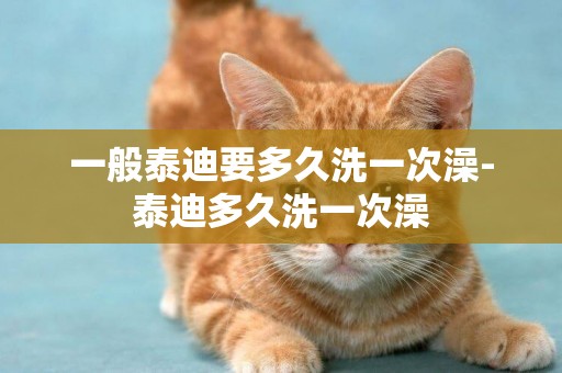 一般泰迪要多久洗一次澡-泰迪多久洗一次澡
