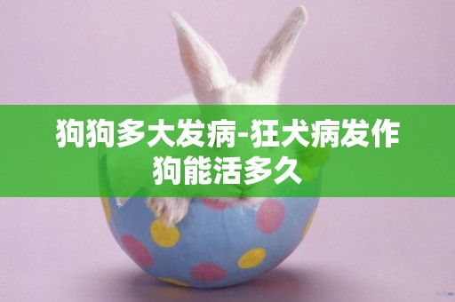 狗狗多大發病-狂犬病發作狗能活多久