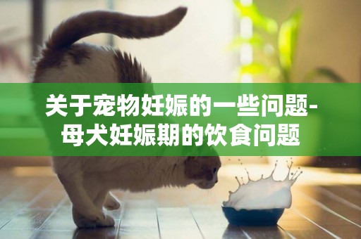 關于寵物妊娠的一些問題-母犬妊娠期的飲食問題