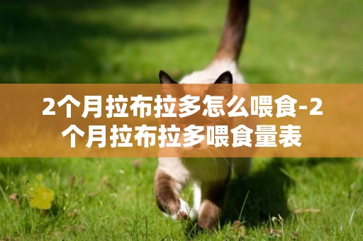 2個月拉布拉多怎么喂食-2個月拉布拉多喂食量表
