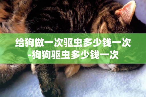 給狗做一次驅蟲多少錢一次-狗狗驅蟲多少錢一次