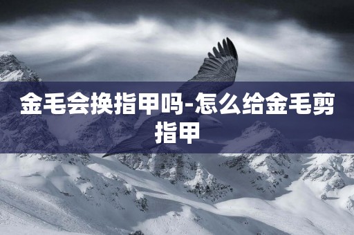 金毛會換指甲嗎-怎么給金毛剪指甲