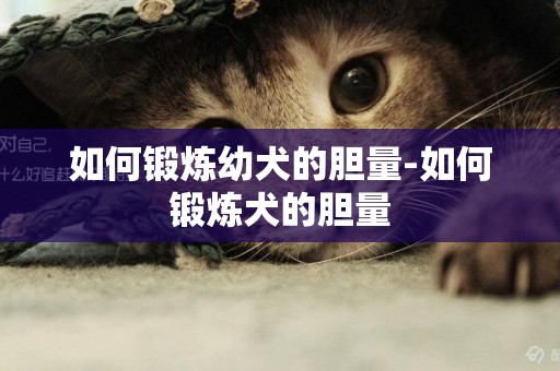 如何鍛煉幼犬的膽量-如何鍛煉犬的膽量