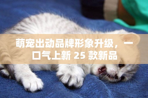 萌寵出動品牌形象升級,一口氣上新 25 款新品 萌寵出動品牌形象升級,一口氣上新 25 款新品