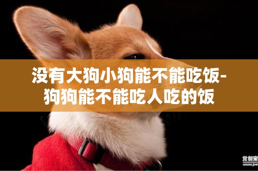 沒有大狗小狗能不能吃飯-狗狗能不能吃人吃的飯