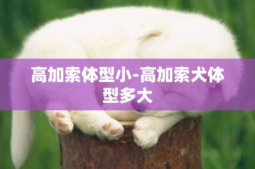 高加索體型小-高加索犬體型多大