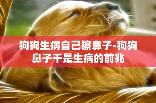 狗狗生病自己擦鼻子-狗狗鼻子干是生病的前兆