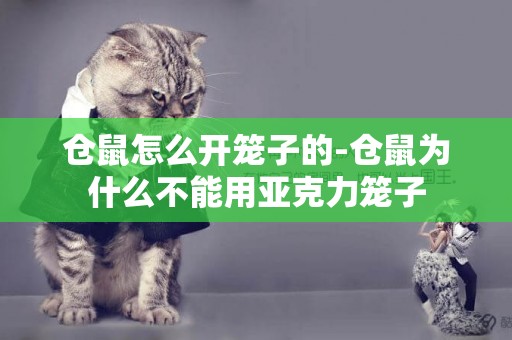 倉鼠怎么開籠子的-倉鼠為什么不能用亞克力籠子