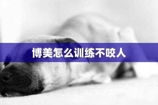 博美怎么訓練不咬人
