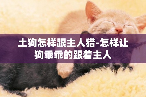 土狗怎樣跟主人獵-怎樣讓狗乖乖的跟著主人