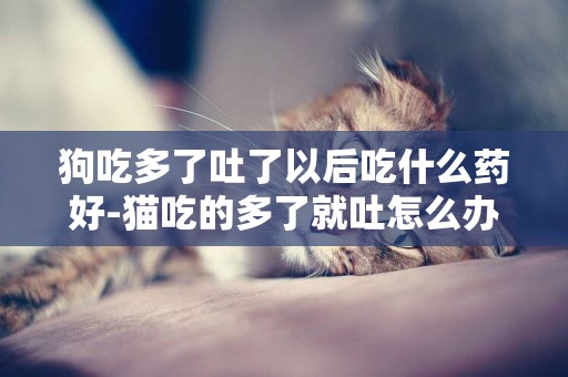 狗吃多了吐了以后吃什么藥好-貓吃的多了就吐怎么辦吃什么藥好