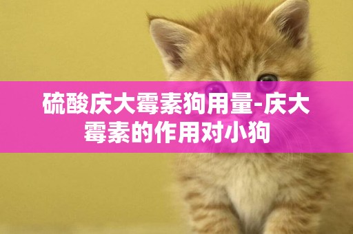 硫酸慶大霉素狗用量-慶大霉素的作用對小狗