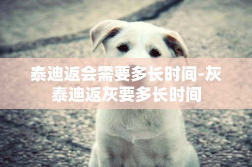 泰迪返會需要多長時間-灰泰迪返灰要多長時間
