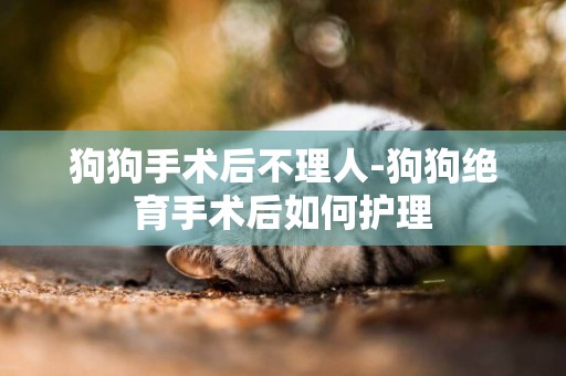 狗狗手術后不理人-狗狗絕育手術后如何護理