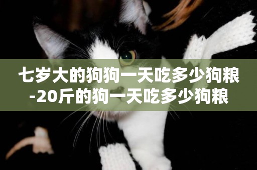 七歲大的狗狗一天吃多少狗糧-20斤的狗一天吃多少狗糧