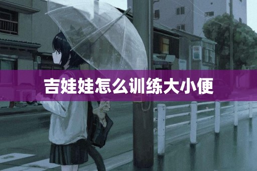 吉娃娃怎么訓練大小便