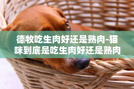 德牧吃生肉好還是熟肉-貓咪到底是吃生肉好還是熟肉好呢