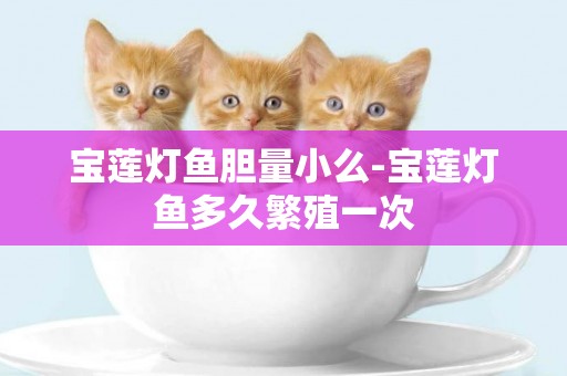 寶蓮燈魚膽量小么-寶蓮燈魚多久繁殖一次