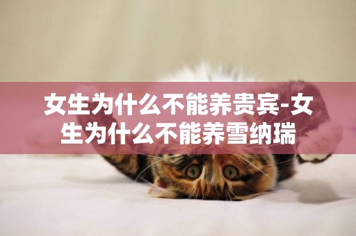 女生為什么不能養貴賓-女生為什么不能養雪納瑞