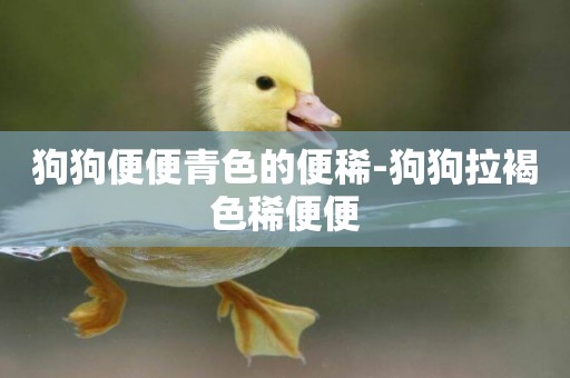 狗狗便便青色的便稀-狗狗拉褐色稀便便