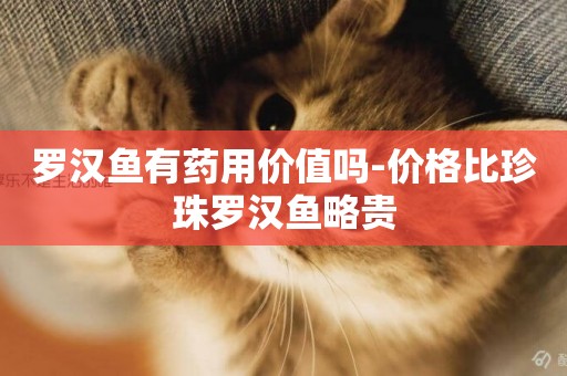 羅漢魚有藥用價值嗎-價格比珍珠羅漢魚略貴